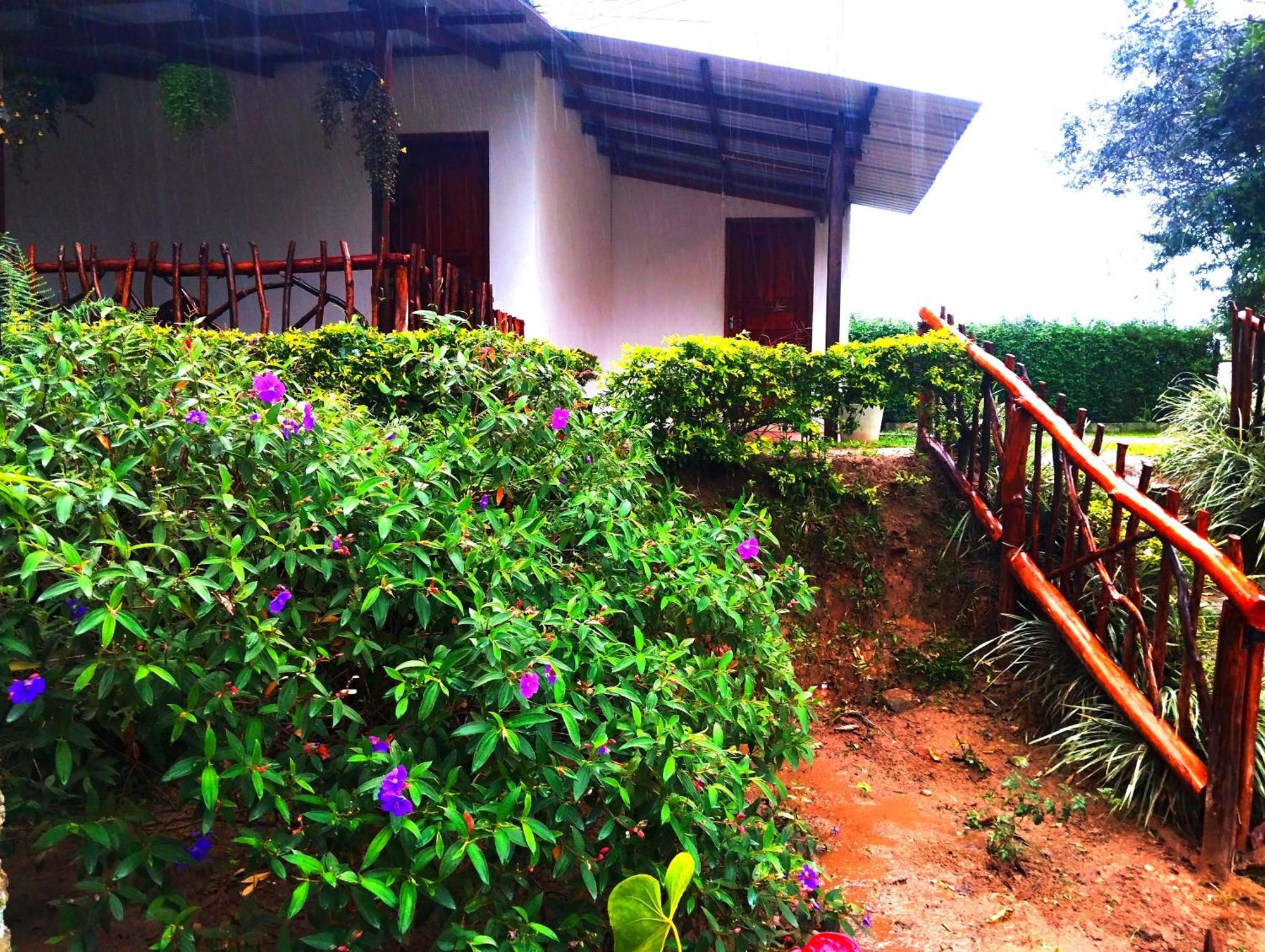 Ella Hotel Upper Hill المظهر الخارجي الصورة