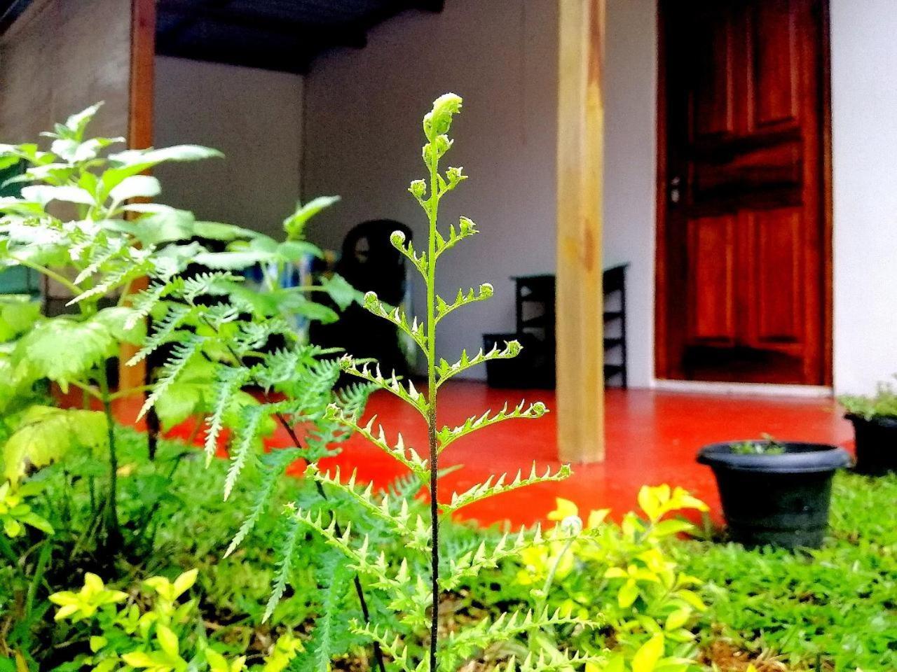 Ella Hotel Upper Hill المظهر الخارجي الصورة